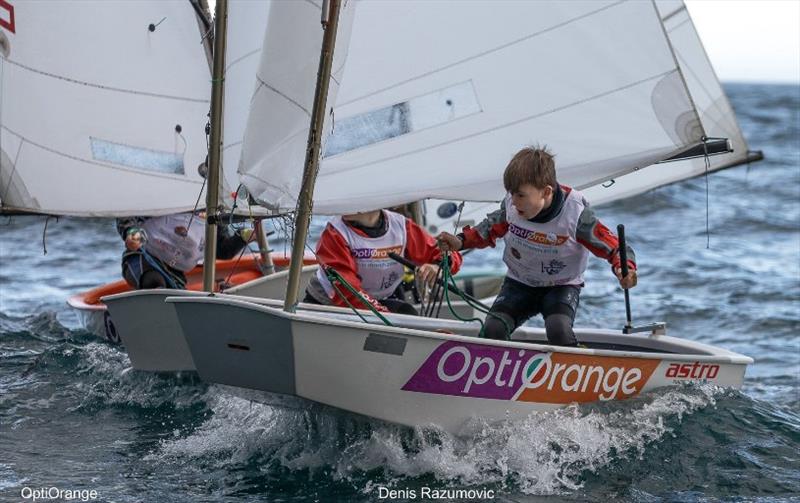 International OptiOrange Regatta photo copyright Denis Razumovich taken at Real Club Nautico Valencia and featuring the Optimist class