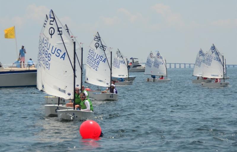Team Racing is a highlight of all the Optimist Nationals. Two teams of four boats each go head to head. About two dozen teams will compete over three days July 20-22 photo copyright Talbot Wilson taken at Pensacola Yacht Club and featuring the Optimist class