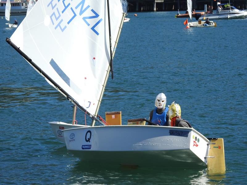 Burnsco National Optimist team racing before the Toyota NZ Optimist Nationals begins photo copyright QCYC taken at Queen Charlotte Yacht Club and featuring the Optimist class