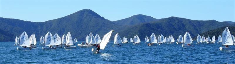 Day 2- 2018 Toyota NZ Optimist National Chmapionships - Queen Charlotte Yacht Club - photo © Christel Hopkins