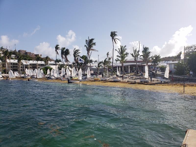 26th International Optimist Regatta at St. Thomas Yacht Club - photo © Event Media