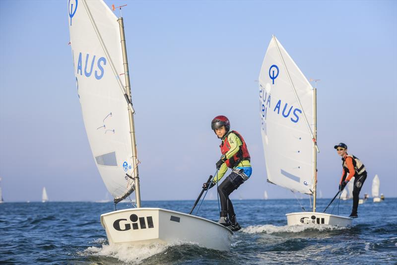 Festival of Sails juniors having fun  photo copyright Salty Dingo taken at  and featuring the Optimist class