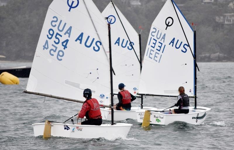 Green Fleet introductory racing programs get underway in September photo copyright Middle Harbour Yacht Club taken at Middle Harbour Yacht Club and featuring the Optimist class