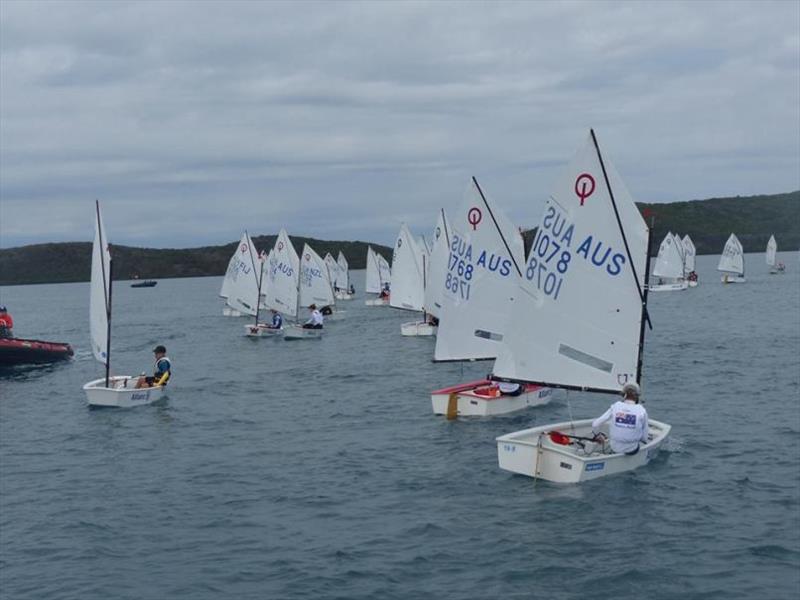 Optimist fleet - Allianz Championship - Day 1 photo copyright SRC Noumea Sailing taken at  and featuring the Optimist class