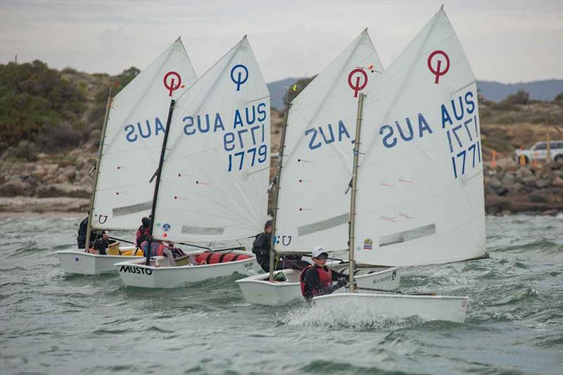 SA Summer of Sail Launch Regatta 2018 photo copyright Elise Dalmaso taken at Adelaide Sailing Club and featuring the Optimist class