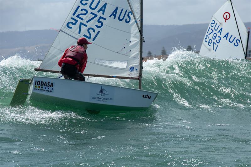 SA Summer of Sail Launch Regatta 2018 photo copyright Elise Dalmaso taken at Adelaide Sailing Club and featuring the Optimist class