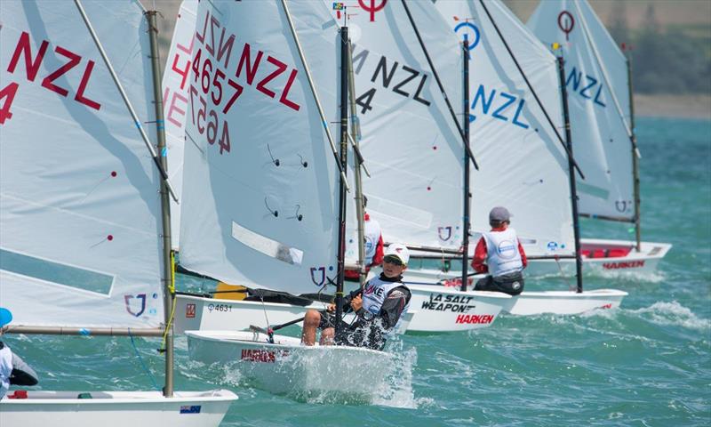 2018 Sir Peter Blake Regatta - Sunday  photo copyright Lissa Reyden taken at Torbay Sailing Club and featuring the Optimist class