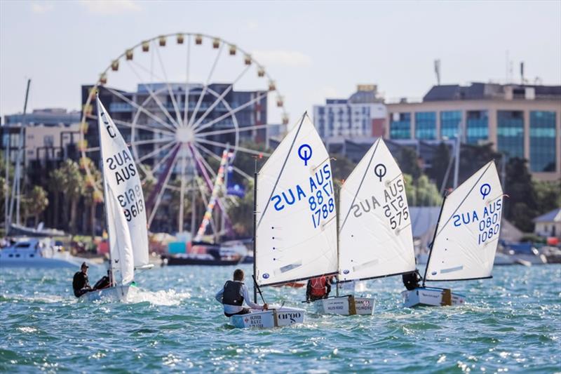 Optimists and Cadet - 2019 Festival of Sails, Day 1 photo copyright Salty Dingo taken at Royal Geelong Yacht Club and featuring the Optimist class
