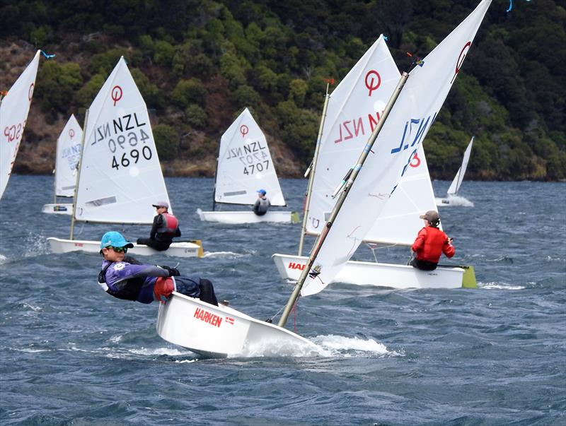 Interislander Champs - Day 1, Queen Charlotte YC - February 22, 2019 photo copyright Christel Hopkins taken at Queen Charlotte Yacht Club and featuring the Optimist class