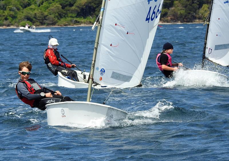 Interislander Champs - Day 1, Queen Charlotte YC - February 22, 2019 photo copyright Christel Hopkins taken at Queen Charlotte Yacht Club and featuring the Optimist class