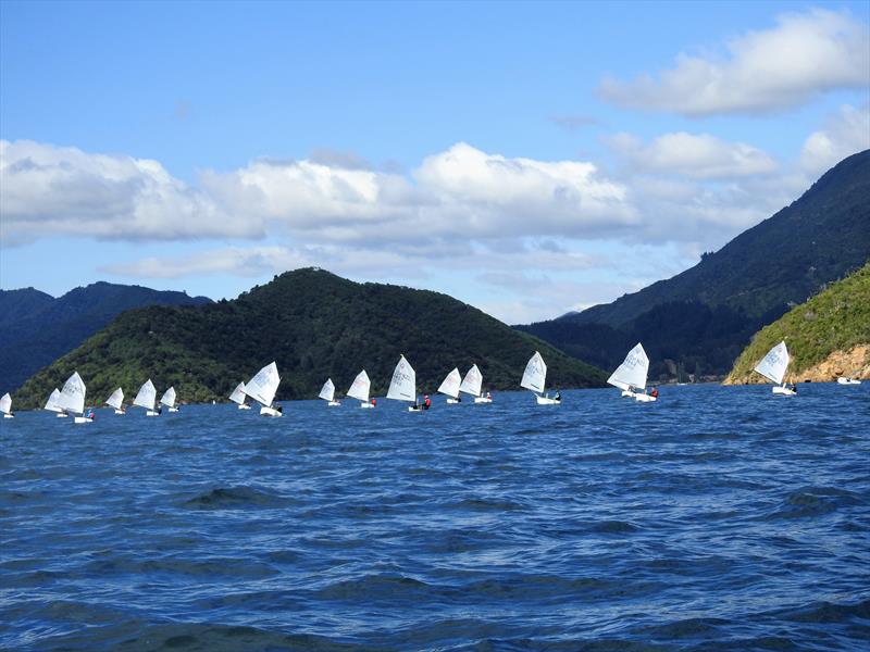 Interislander Champs - Day 1, Queen Charlotte YC - February 22, 2019 - photo © Christel Hopkins