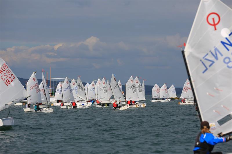 Toyota NZ Optimist Nationals - Day 2, Murrays Bay Sailing Club - April 2019 photo copyright Murrays Bay SC taken at Murrays Bay Sailing Club and featuring the Optimist class