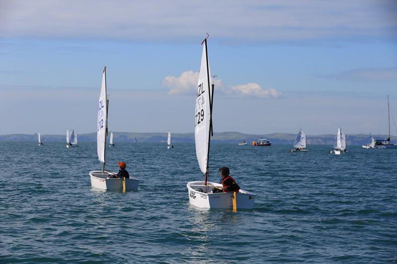 Toyota NZ Optimist Nationals - Day 2, Murrays Bay Sailing Club - April 2019 photo copyright Murrays Bay SC taken at Murrays Bay Sailing Club and featuring the Optimist class