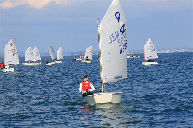 Toyota NZ Optimist Nationals - Day 2, Murrays Bay Sailing Club - April 2019 photo copyright Murrays Bay SC taken at Murrays Bay Sailing Club and featuring the Optimist class