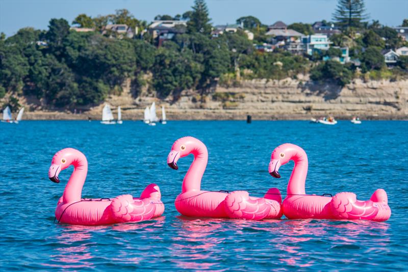 Toyota NZ Optimist Nationals - Day 2, Murrays Bay Sailing Club - April 2019 - photo © Rachel von Zalinski