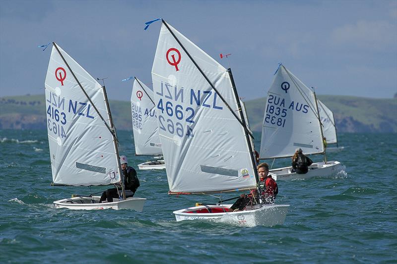 Silver fleet - Day 6 - 2019 Toyota New Zealand Optimist National Championships, Murrays Bay, April 2019 - photo © Richard Gladwell