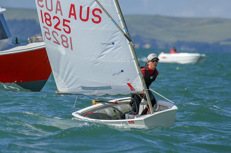 Daniel Links (AUS) - Royal Prince Alfred YC - Day 6 - 2019 Toyota New Zealand Optimist National Championships, Murrays Bay, April 2019 - photo © Richard Gladwell