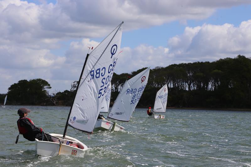 Rooster Optimist Southern Traveller Series visits Chichester photo copyright Brian Ayton taken at Chichester Yacht Club and featuring the Optimist class