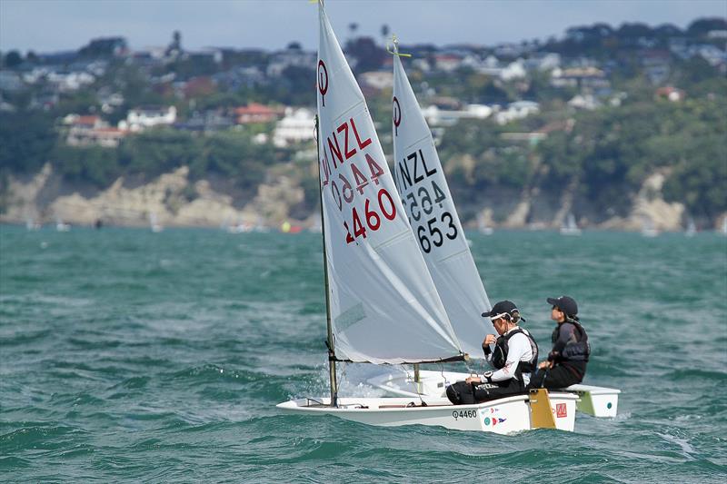 Toyota National Optimist Championships, Murrays Bay SC, April 2019 photo copyright Richard Gladwell taken at Murrays Bay Sailing Club and featuring the Optimist class