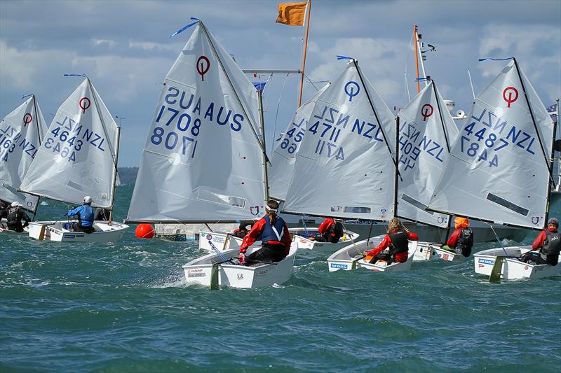 Toyota National Optimist Championships, Murrays Bay SC, April 2019 - photo © Richard Gladwell