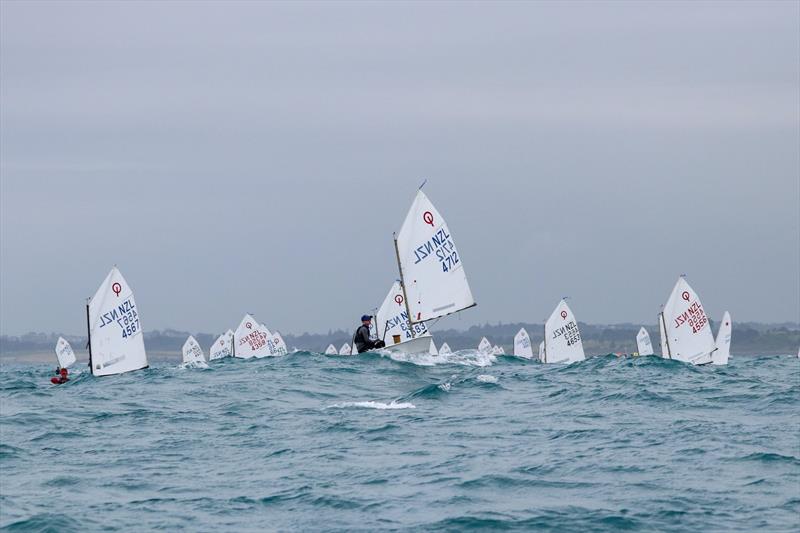 2019 Optimist North Island Championships - New Plymouth YC - November 2019 photo copyright Yachting New Zealand taken at  and featuring the Optimist class