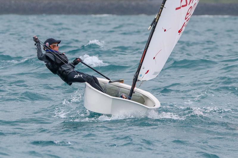 2019 Optimist North Island Championships - New Plymouth YC - November 2019 - photo © Yachting New Zealand