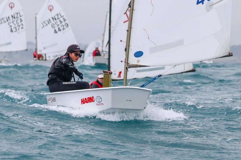 2019 Optimist North Island Championships - New Plymouth YC - November 2019 photo copyright Yachting New Zealand taken at  and featuring the Optimist class