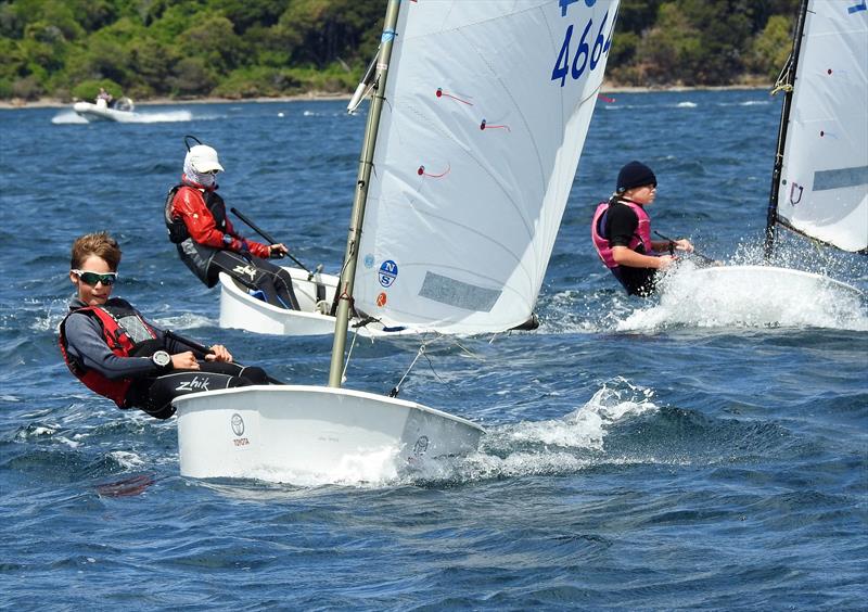 Optimists sailing at Queen Charlotte YC photo copyright Queen Charlotte YC taken at  and featuring the Optimist class