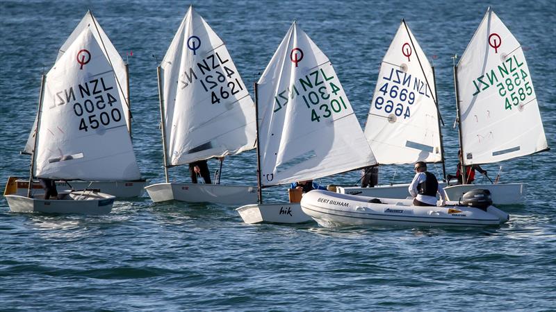 Optimists training off Wakatere - May 16, 2020 - photo © Richard Gladwell / Sail-World.com