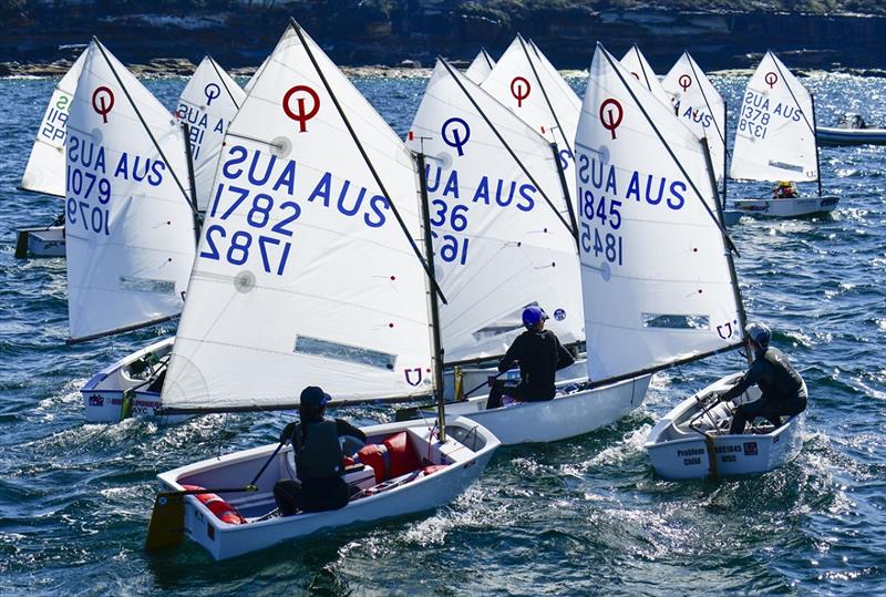 Optimist sailors from MHYC and nearby clubs have been missing the opportunity to compete during the pandemic photo copyright Marg Fraser-Martin taken at Middle Harbour Yacht Club and featuring the Optimist class