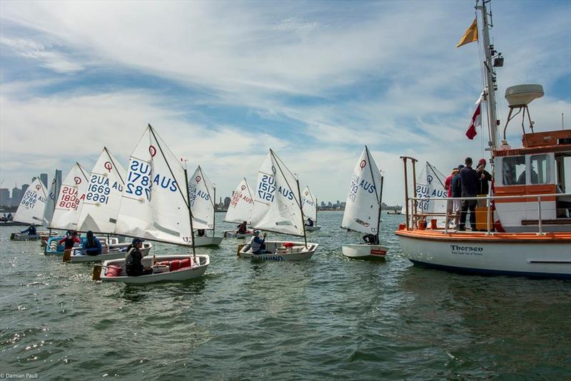 Boats racking up at the start line of the Victorian Optimist States - photo © Damian Paull