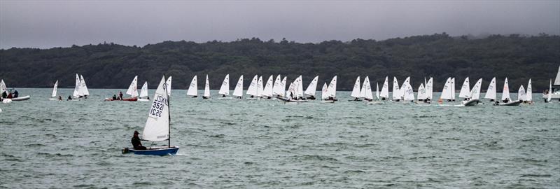 Wakatere BC - Optimist and Starling Auckland - Day 2 - February 6, 2022, photo copyright Richard Gladwell - Sail-World.com/nz taken at Wakatere Boating Club and featuring the Optimist class