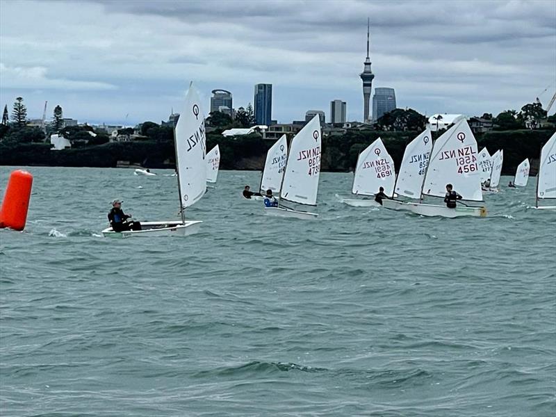 Auckland Optimist and Starling Championships, February 7, 2022 - Wakatere BC photo copyright Wakatere BC Media taken at Wakatere Boating Club and featuring the Optimist class