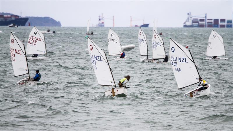 Optimist and Starling Auckland - Wakatere BC - February 7, 2022  photo copyright Richard Gladwell - Sail-World.com/nz taken at Wakatere Boating Club and featuring the Optimist class