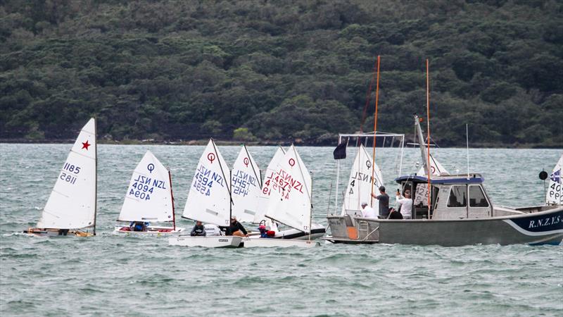 Optimist and Starling Auckland - Wakatere BC - February 7, 2022  photo copyright Richard Gladwell - Sail-World.com/nz taken at Wakatere Boating Club and featuring the Optimist class