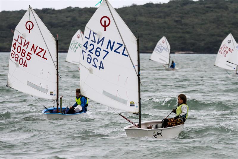 Wakatere BC - Optimist Green fleet - Auckland - February 7, - Wakatere BC photo copyright Richard Gladwell / Sail-World.com / nz taken at Wakatere Boating Club and featuring the Optimist class