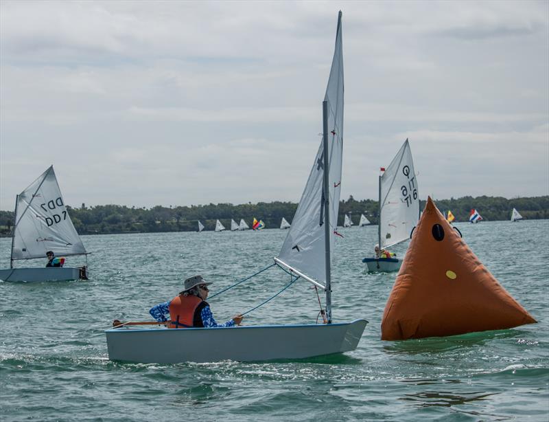 Racecourse action at the Rainbow Regatta photo copyright Rainbow Regatta taken at  and featuring the Optimist class