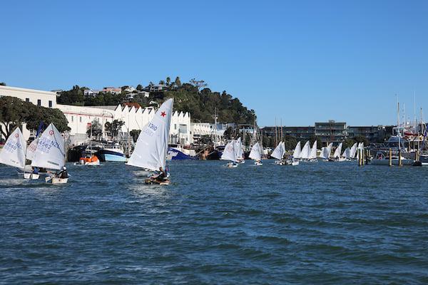 2022 Combined Optimist and Starling NZ Championships - April 2022 - Napier Sailing Club photo copyright Bruce Jenkins/Napier SC taken at Napier Sailing Club and featuring the Optimist class