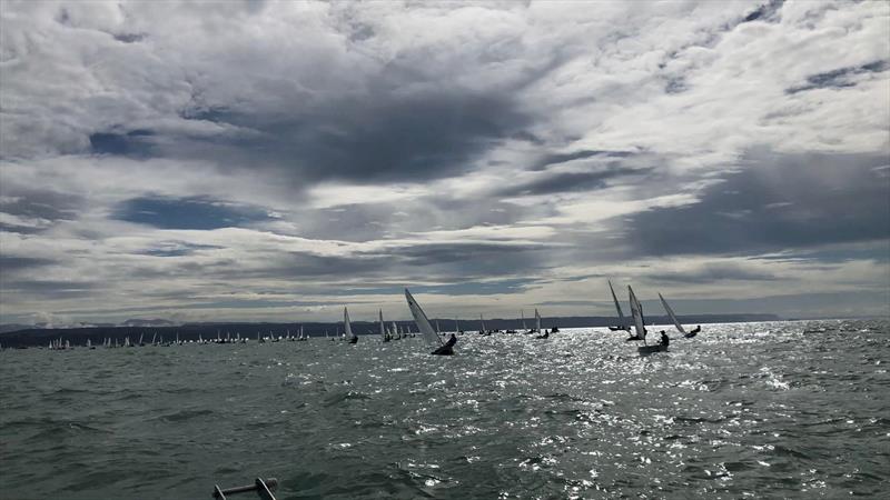 Final Day racing under leaden skies - 2022 Combined Optimist and Starling NZ Championships - April 2022 - Napier Sailing Club photo copyright Wakatere Boating Club taken at Napier Sailing Club and featuring the Optimist class