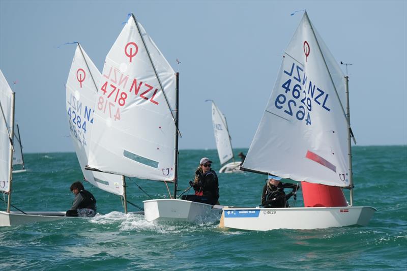 Toyota Optimist and Starling NZ Nationals - April 2022 - Napier Sailing Club  photo copyright Bruce Jenkins taken at Napier Sailing Club and featuring the Optimist class