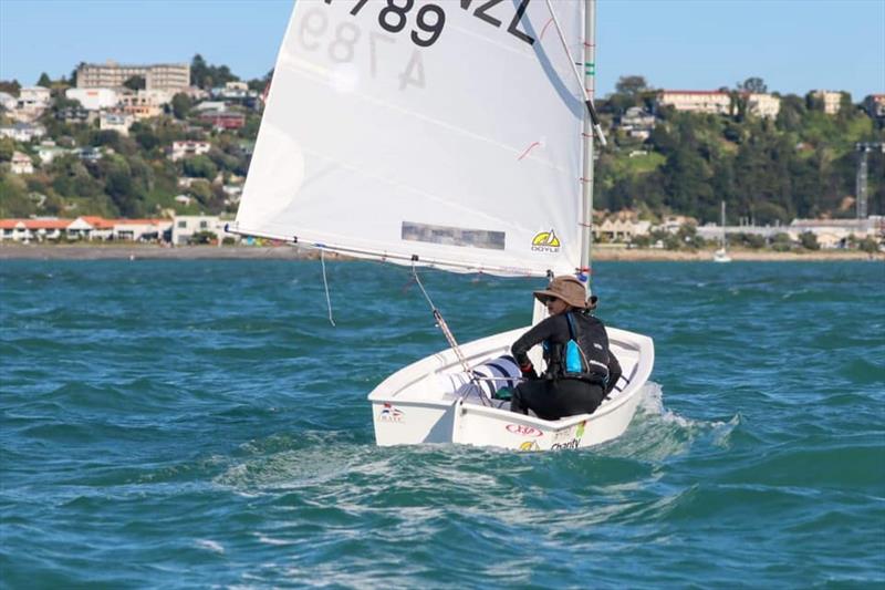 Doyle Sails partner the Akarana Sailing Academy photo copyright Suellen Hurling taken at Royal Akarana Yacht Club and featuring the Optimist class