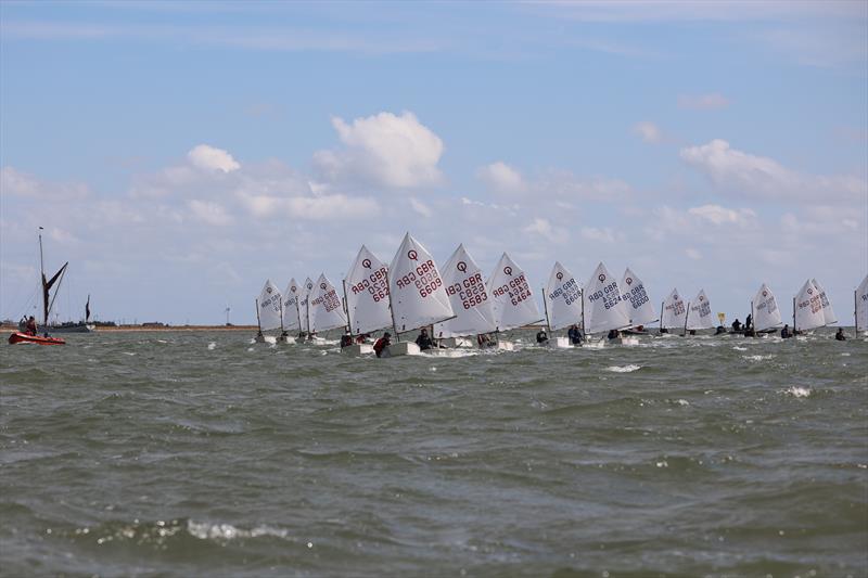 Gill Optimist Late Summer Championship at Brightlingsea - photo © Ana Lau