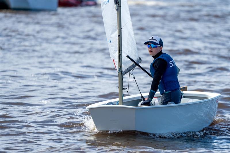 There was a strong fleet of Optimists photo copyright Jordan Roberts taken at Sandringham Yacht Club and featuring the Optimist class