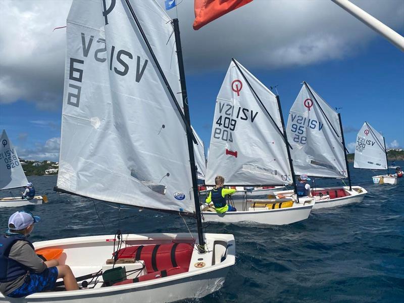 Racecourse action at the STYC's MLK Regatta photo copyright Emily Zimmerman taken at St. Thomas Yacht Club and featuring the Optimist class