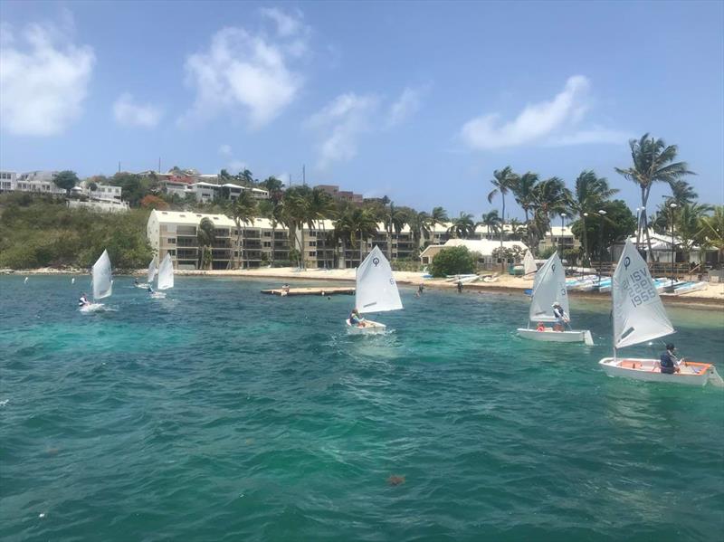 Racecourse action at the STYC's MLK Regatta photo copyright Emily Zimmerman taken at St. Thomas Yacht Club and featuring the Optimist class