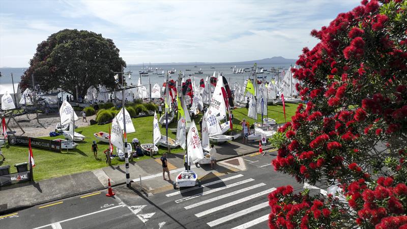 Day 1 - Sir Peter Blake Regatta - Torbay Sailing Club - December 7, 2025 - photo © Jacob Fewtrell/Insight Media/Insightmedia.co.nz/