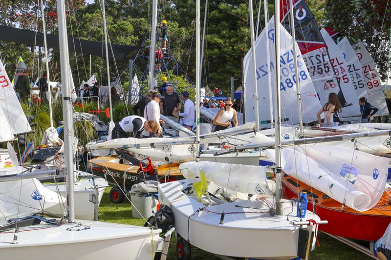 Day 1 - Sir Peter Blake Regatta - Torbay Sailing Club - December 7, 2025 - photo © Jacob Fewtrell/Insight Media/Insightmedia.co.nz/