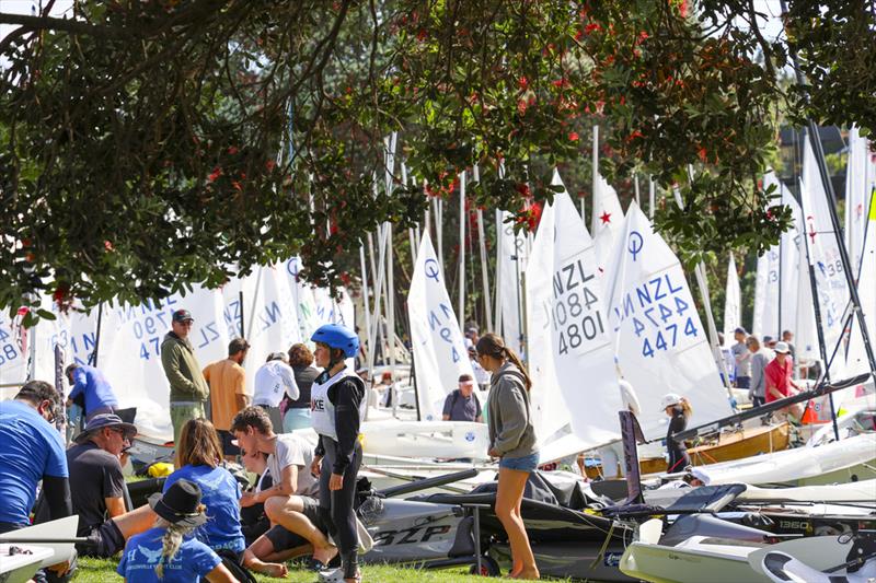 Day 1 - Sir Peter Blake Regatta - Torbay Sailing Club - December 7, 2025 - photo © Jacob Fewtrell/Insight Media/Insightmedia.co.nz/