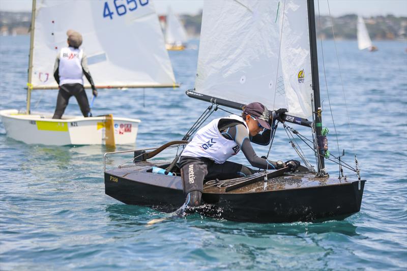 Day 1 - Sir Peter Blake Regatta - Torbay Sailing Club - December 7, 2025 - photo © Jacob Fewtrell/Insight Media/Insightmedia.co.nz/