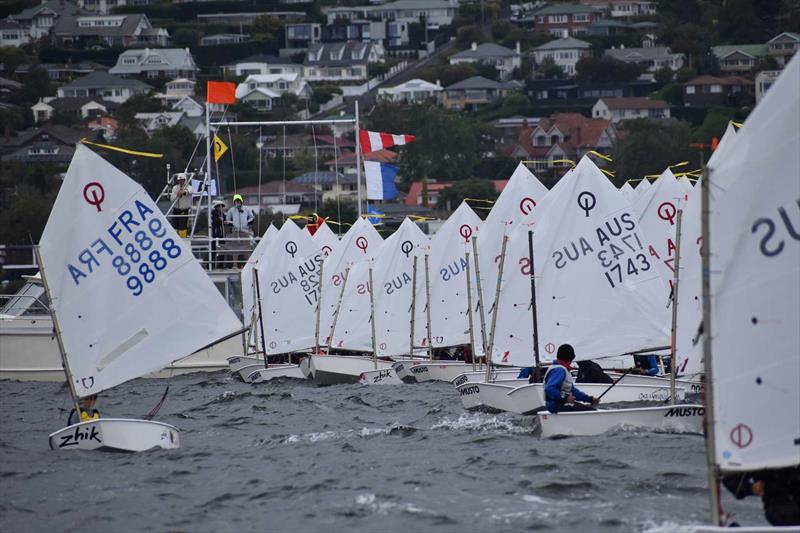 Gold Fleet counting down to the start sequence of the final race of the regatta - 2026 Musto Australian Optimist Championship - photo © Jane Austin